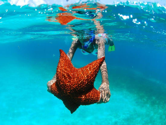 カリブ海の秘境ビーチ サオナ島へ ドミニカ共和国観光 オプショナルツアー予約専門 Veltra