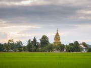 17.Chiang Rai beautiful rice fields and temples