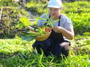 13.Museflower_Retreat&Spa_organic_farm_hand_pick_fresh_vegetable_for_lunch