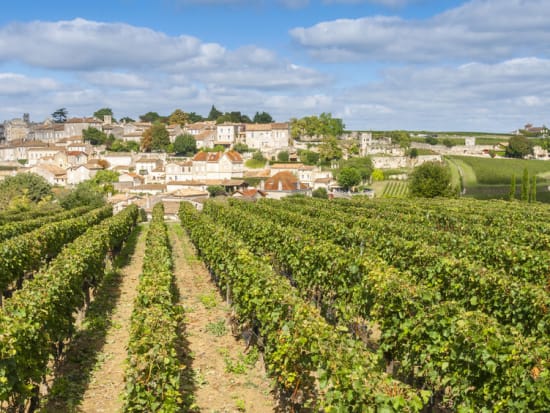 Saint-Emilion Vineyards