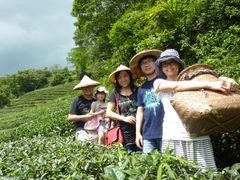 Tea Culture2