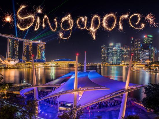 【貸切】シンガポール夜景ツアー　ガーデンズ・バイ・ザ・ベイの光のショー＋リバークルーズ＋「REDHOUSE」のチリクラブ夕食付き＜日本語ガイド／ホテル送迎付き＞