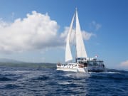 Island Discovery Cruise