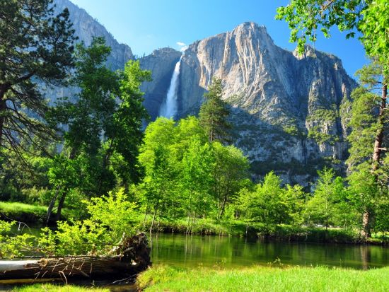 3大国立公園 1泊2日ツアー　世界遺産ヨセミテ国立公園＆セコイア国立公園＆キングスキャニオン国立公園 ＜日本語ドライバーガイド／ロサンゼルス発＞