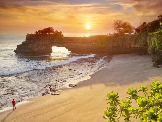 バリ島 1日観光ツアー　ウブド＆世界遺産タマン・アユン寺院＆タナロット寺院＆テガララン（棚田）＆ゴアガジャ遺跡 ＜昼食＆夕食付き／日本語ガイド＞by JTB