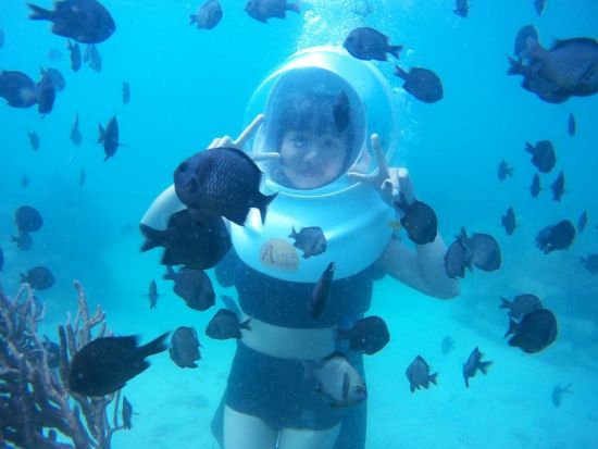 ニャチャン シーウォーカー体験＜英語ガイド／ニャチャン発＞