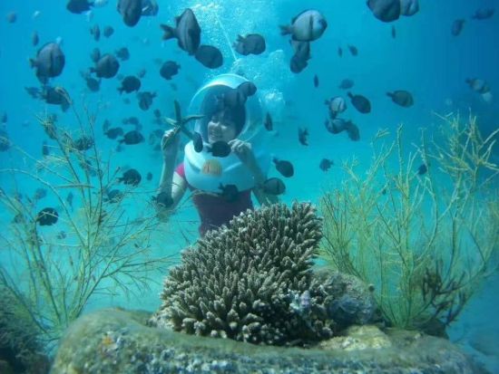 ニャチャン シーウォーカー体験＜英語ガイド／ニャチャン発＞