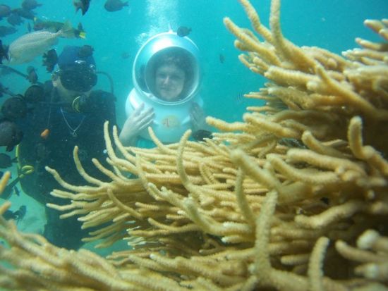 ニャチャン シーウォーカー体験＜英語ガイド／ニャチャン発＞