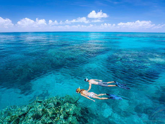 great-adventures-outer-barrier-reef-124145-1920