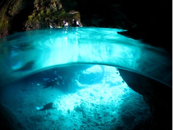 青の洞窟 シュノーケリング　エサあげ体験付！ツアー中撮影したお写真データプレゼント＜ボートエントリー／恩納村ショップ集合＞