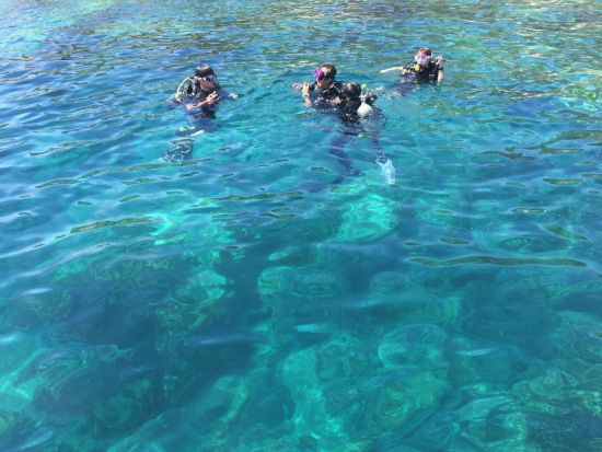 ニャチャン ムン島シュノーケリング　オプションでウォータースポーツも楽しめる！＜日本語ガイド／ニャチャン発＞