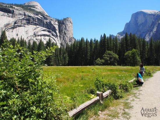 グランドサークル1泊2日　グランドキャニオン＆ヨセミテ＆アンテロープ＆ホースシューベンド ＜日本語ガイド／ラスベガス発サンフランシスコ着＞