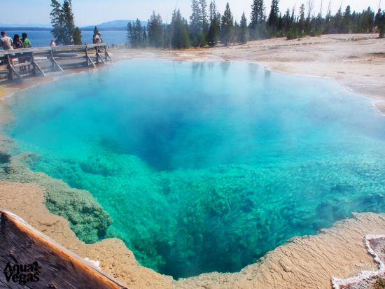 世界遺産イエローストーン国立公園＆グランドティトン国立公園　2泊3日観光ツアー ＜5～10月／日本語ガイド／ソルトレイクシティ発着＞