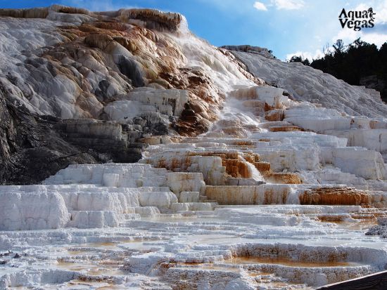 世界遺産イエローストーン国立公園＆グランドティトン国立公園　2泊3日観光ツアー ＜5～10月／日本語ガイド／ソルトレイクシティ発着＞