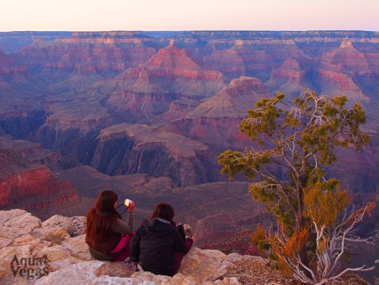 グランドキャニオン国立公園日帰り観光ツアー　グランドキャニオン＆ルート66の町セリグマンなど＜昼食付／日本語ドライバーガイド＞
