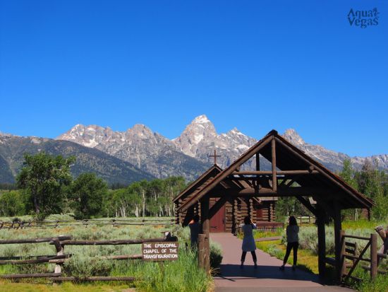 世界遺産イエローストーン国立公園＆グランドティトン国立公園　2泊3日観光ツアー ＜5～10月／日本語ガイド／ソルトレイクシティ発着＞
