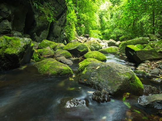 See the alluring charm of Lamington National Park