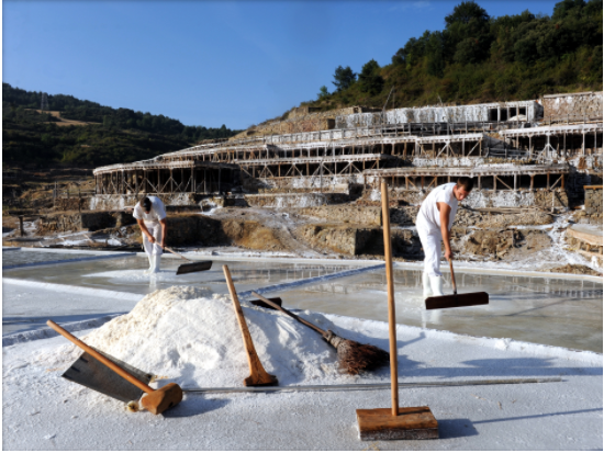 アニャナの塩田見学とバスクの州都ビトリア＝ガステイス 1日観光ツアー＜日本語ガイド／ランチ付きプランあり／サン・セバスティアン発＞