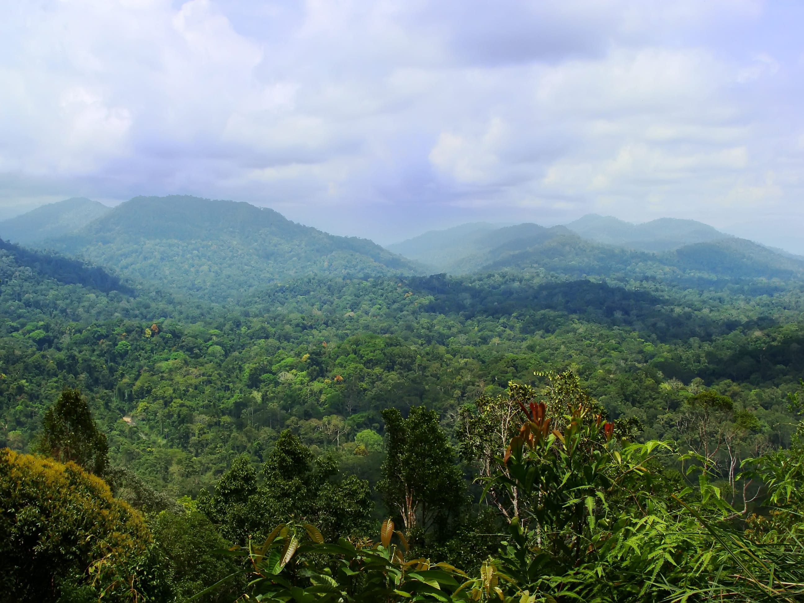 Taman Negara Wikipedia