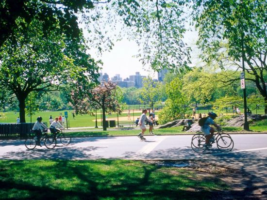 セントラルパーク　自転車レンタルサービス＜2時間～／現地集合・解散＞by Unlimited Biking