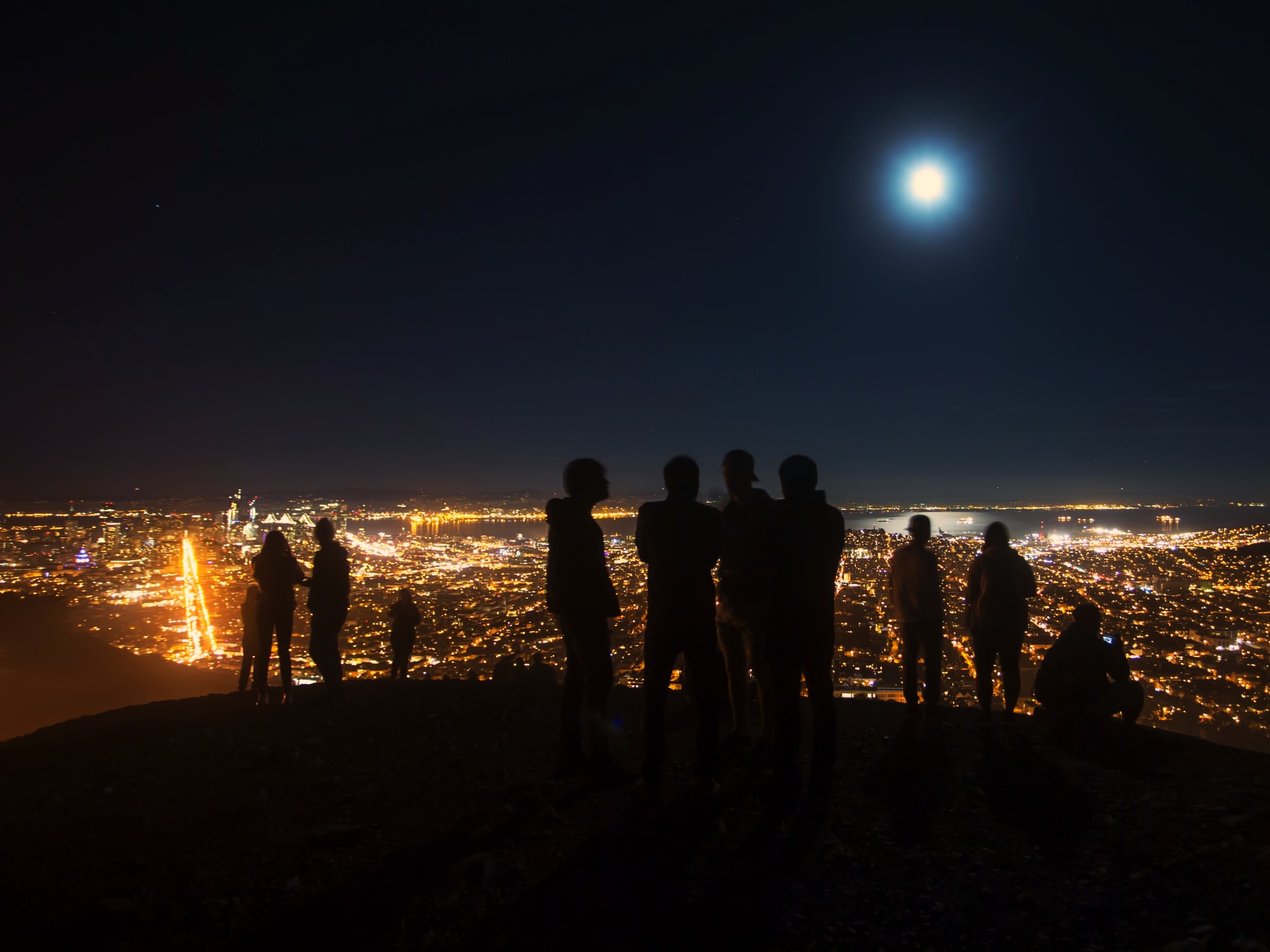 サンフランシスコの夜景を堪能 ツインピークス トレジャーアイランド夜景鑑賞ツアー 日本語ガイド サンフランシスコの観光 オプショナルツアー専門 Veltra ベルトラ