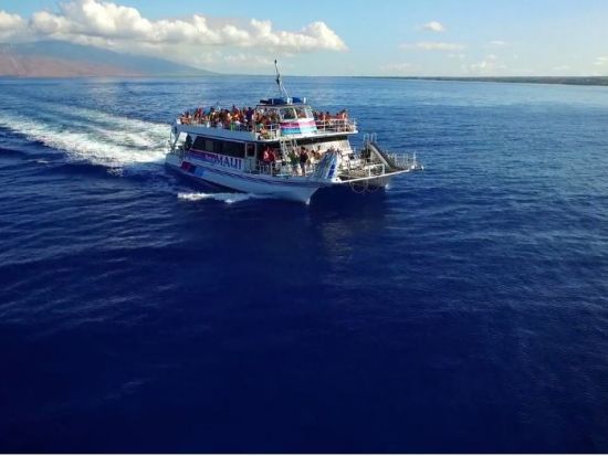 モロキニ島シュノーケリングクルーズ ＜朝・昼食付／現地集合＞