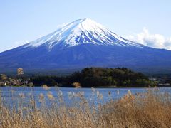 mt fuji blue cropped