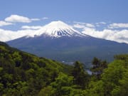 Mt Fuji green