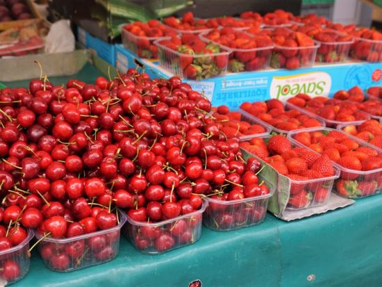 パリのマルシェ見学ツアー　特産品のテイスティングも！ ＜午前／日本語ガイド＞