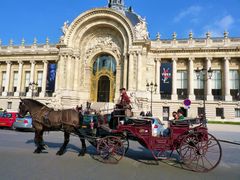 Petit Palais, Horse, Carriage Ride