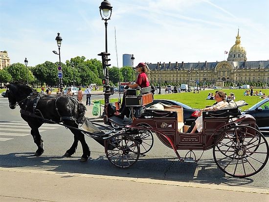 horse drawn carriage ride