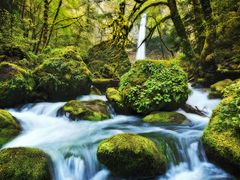 USA_Portland_Evergreen Escapes_Columbia Gorge