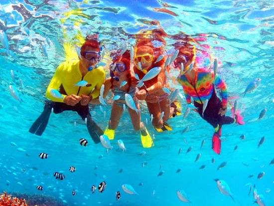 竜宮城エコシュノーケリング　選べるプラン！大評判ランチ or ドルフィンウォッチング＜送迎付き＞byフィッシュアイマリンパーク