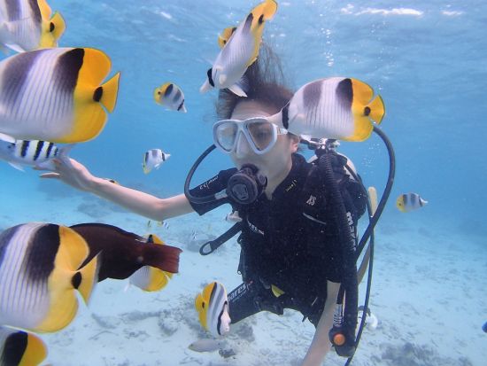 体験ダイビング グアム最高峰の透明度とサンゴ礁ポイント ピティ湾海洋保護区ボムホール ＜ビーチ／1～2ダイブ＞by アクアアカデミー