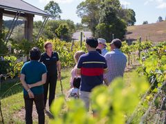 Winery-Tour