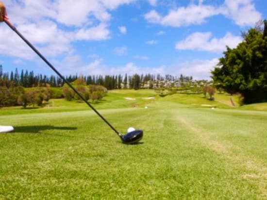 マウイ島の有名ゴルフコースのバッグ - バッグ