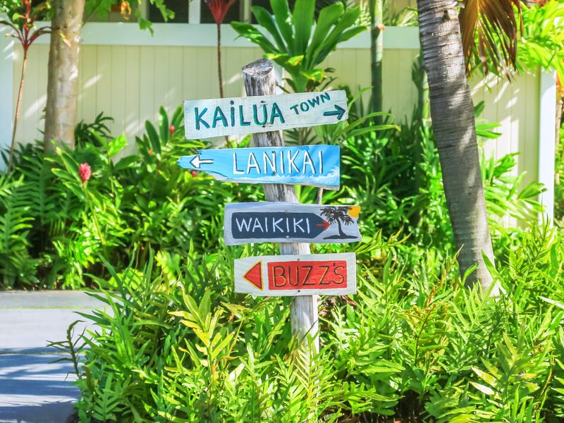 カイルア ノースショア観光 ウミガメウォッチ付き フリータイムたっぷり1日満喫ツアー 貸切プランあり ハワイ オアフ島 ホノルル の観光 オプショナルツアー専門 Veltra ベルトラ