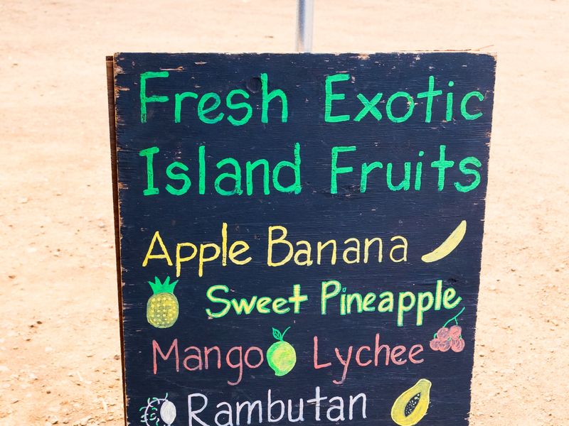 オアフ島1日観光 Kccファーマーズマーケット ノースショア散策付き 土曜日限定カウカウツアー ハワイ オアフ島 ホノルル の観光 オプショナルツアー専門 Veltra ベルトラ