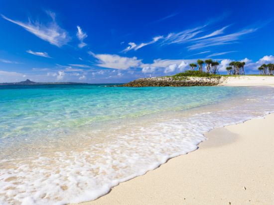 【沖縄路線バス周遊パス】沖縄本島内4社の路線バス乗り放題チケット＜1日券or3日券から選択／ゆいレール1日乗車券付きプランあり＞by JTB沖縄