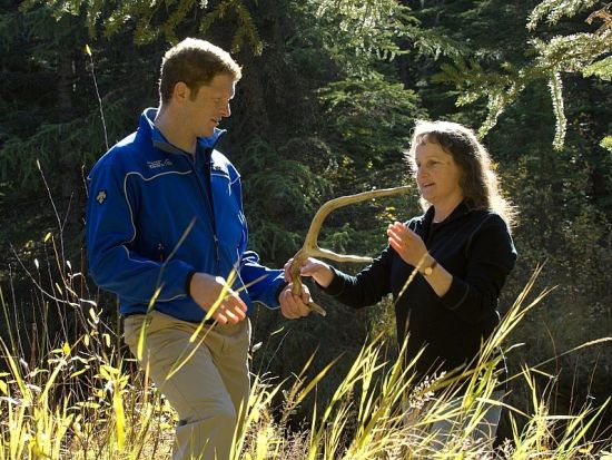 世界遺産カナディアンロッキー ナイトサファリツアー　バンフ国立公園　＜4～10月／英語ガイド／バンフ発＞
