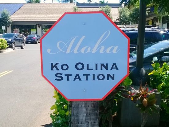 コオリナ地区 朝発送迎シャトルサービス　たっぷり5時間の自由時間でディズニーリゾートやショッピングを満喫！ワイケレアウトレット付きプランあり＜日本語ドライバー＞