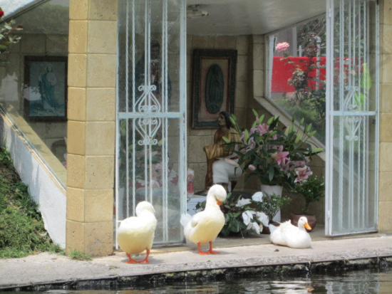 世界遺産ソチミルコとクイクイルコ遺跡観光ツアー＜混載／半日／日本語ガイド／メキシコシティ発＞