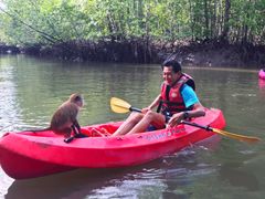 KAYAK02