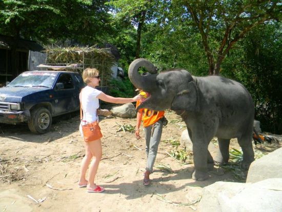 癒しの象乗り☆インスタ写真も撮れる！特典の ”バナナのご褒美” も嬉しい象乗りトレッキング（30分／45分）☆愉快な象使いがご案内！＜ホテル送迎付＞