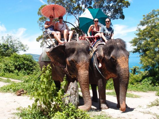 癒しの象乗り☆インスタ写真も撮れる！特典の ”バナナのご褒美” も嬉しい象乗りトレッキング（30分／45分）☆愉快な象使いがご案内！＜ホテル送迎付＞