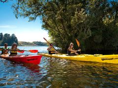 Waimarino Rotorua Kayak Tour (1)