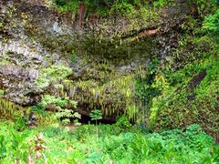 FernGrotto_Wailua