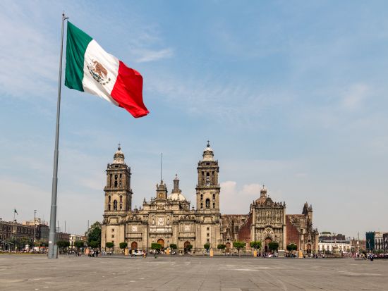 貸切チャーター(4名まで)　フリープランでメキシコシティを巡る！安心の日本語ガイドプランあり＜8時間／英語ドライバー／メキシコシティ市発／空港送迎可＞