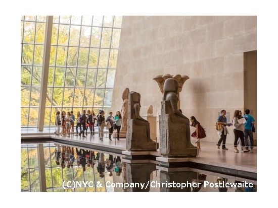 メトロポリタン美術館＆グッゲンハイム美術館　鑑賞ツアー ＜NY在住日本語芸術家ガイド＞by H.I.S.