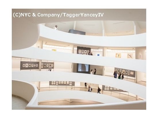 美術館めぐりツアー　メトロポリタン美術館＆ニューヨーク近代美術館（MoMA）＆グッゲンハイム美術館 ＜NY在住日本語芸術家ガイド＞by H.I.S.